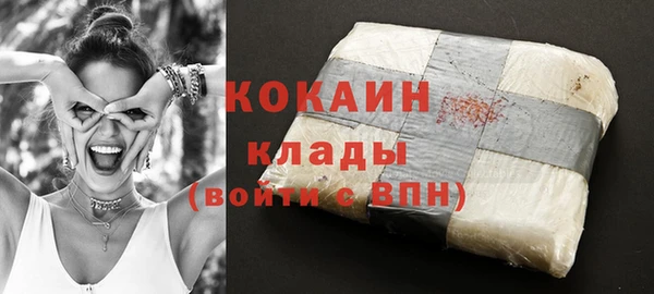 дживик Алзамай