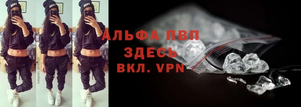 тгк Алексин