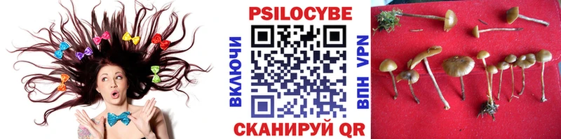 Галлюциногенные грибы мицелий  купить   Лермонтов 